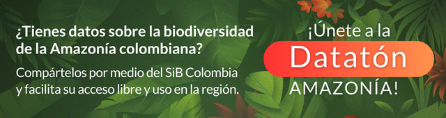 Datatón Amazonía